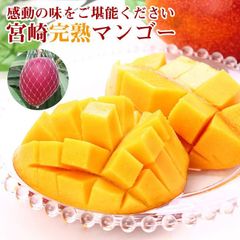 【農家直送】宮崎完熟マンゴー 約3.5kg 農家直送】宮崎完熟マンゴー 9玉(約3.5kg) - メルカリ