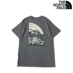 ノースフェイス 半袖 Tシャツ US グラフィック グレー 180902