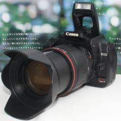 ❤️予備バッテリー付き❤️Nikon D750 超望遠 トリプルズーム