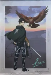 2025年最新】リヴァイタペストリーの人気アイテム - メルカリ