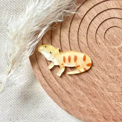 フトアゴヒゲトカゲのブローチ