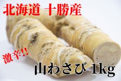 北海道 十勝産 山わさび 1kg  激辛 わさび ホースラディッシュ 西洋わさび 寿司 蕎麦 BBQ