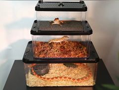 20Lろ材水質浄化抜群濾過フィルター自社製高品質セラミックリング送料込み即時発送 Amazon | ろ材(20L) 濾過材 フィルター水質浄化 バイオリング