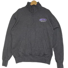 Champion/チャンピオン カレッジ刺繡 ハーフジップ プルオーバー スウェット トレーナー オーバーサイズ ビッグシルエット ホンジュラス製 Lサイズ グレー