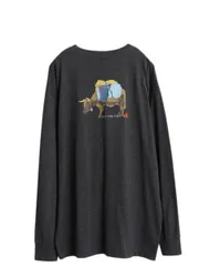 【お得なクーポン配布中!】 ノースフェイス 両面 プリント 長袖 Tシャツ メンズ XL / ロンT グラフィック バックプリント カットソー 大きいサイズ A5 シリーズ グレー