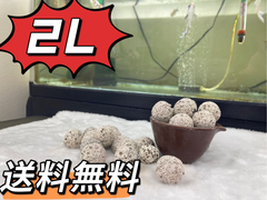 濾過材ボールろ材 納豆菌入り多孔質パワーボール2L
