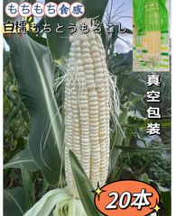 3セット限定❣️常温便❣️20本❣️真空パック　白糯もちとうもろこし 粘玉米  訳あり　100円引きクーポン配布中❣️北海道沖縄の方は追加料金が必要❣️