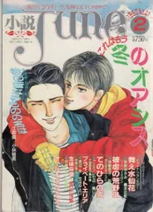 小説JUNE     1985～1990年17冊セット 小説JUNE 1985～1990年17冊セット