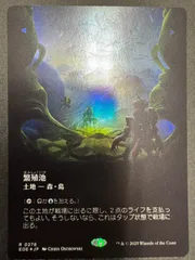 2025年最新】繁殖池 foilの人気アイテム - メルカリ