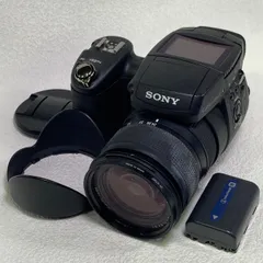 ブラウン×ピンク 極希少品APS-Cソニー SONY DSC-R1フルセット 完全動作