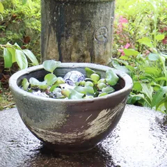 中国美術巨大水鉢62センチメダカ金魚水瓶白磁器刻印入り骨董