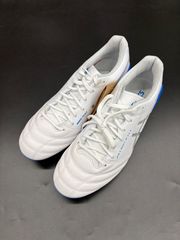 アシックス DS LIGHT X-FLY 5 (1101A047-106)