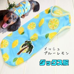完成品販売】ブルーレモンメッシュタンクトップ【犬服