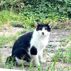 ❁⃘*red nigger☻プロフ必読様！ご専用4点おまとめ - メルカリ