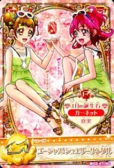 2026年最新】プリキュアデータカードダスの人気アイテム - メルカリ