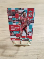 アレクサンダー・アーノルド ジャージカード リバプールFC Topps 他 2025年最新】アレクサンダーアーノルド カードの人気アイテム