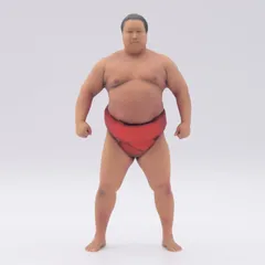 2025年最新】力士 フィギュア 相撲の人気アイテム - メルカリ