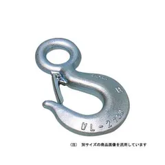 71C5FQAsHNL._UF350,350_QL50_.jpg