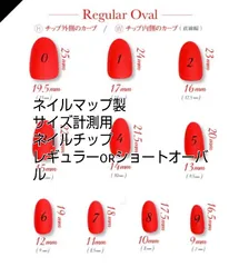 サイズ計測用 ネイルチップ レギュラー オーバル ショートオーバル 確認用 ネイルマップ