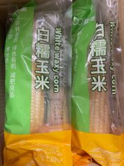 もちもち黄糯玉米 黄玉米黏玉米 黄糯とうもろこし軸付き 真空パック 9本セット