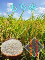 もち米 900g(精米済)