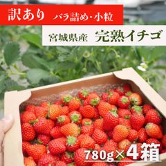 【訳あり】ボリュームたっぷり！宮城県産 完熟イチゴ(小粒) 780ｇ×4箱