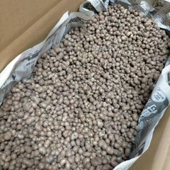 【訳あり】むかご 20kg (型崩れ) 長芋 ねばりっこ とっくり芋