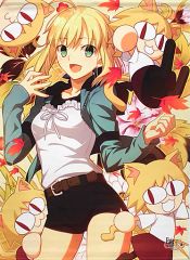 [중고] 태피스트리 세이버(가을/Fate 시리즈) TYPE-MOON 일러스트 B2 태피스트리 시리즈 18 [TYPE-MOON전 Fate/stay night -15년의 궤적-]