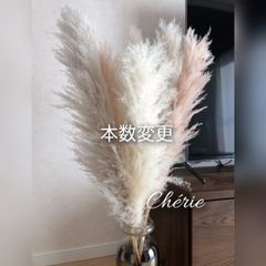129  本数変更　特大パンパスグラス6本　淡色ニュアンスカラー　ウェルカムスペース　インテリア　ドライフラワー