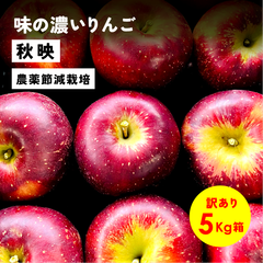 発送10月2日から「秋映5キロ箱訳あり品」農林水産大臣賞 長野県産 安曇野 信州産