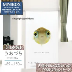【MINIBOX のれん制作工房 正規販売店舗】【匿名配送ネコポス 送料無料】のれん うおづら「アベニーパファー」 幅85×丈150cm【日本製】金魚 UOZURA 熱帯魚 さかな フォト 写真 暖簾 間仕切り 家紋 タペストリー ポスター