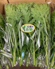 野菜　生で食べられる春菊　4袋　コンパクトボックス