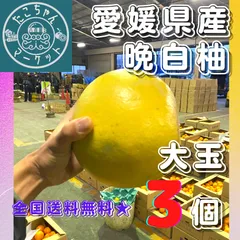 【みかん界のフカヒレ☆やみつき晩白柚】愛媛県産　晩白柚　大玉3個