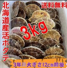 北海道産 活ホタテ 生食 殻つきホタテ バーベキュー 3kg 15-20枚前後