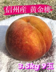 信州産もも【桃★黄金桃】3kg9〜10玉
