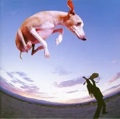 2025年最新】クレイジービーの人気アイテム - メルカリ