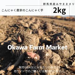 群馬県産こんにゃく芋　大川ファーム④