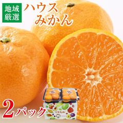 【6月下旬より順次ご発送】【地域厳選 ハウスみかん 2パック】 送料無料 ハウスみかん 2パック 1パック 約 400g 地域厳選 佐賀 愛媛 和歌山 愛知 みかん ギフトボックス みかん 国産 国産みかん ご家庭用 ご自宅用 果物 くだもの フルーツ ギフト