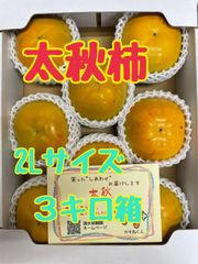 【太秋柿セット】福岡県産　甘柿　柿
