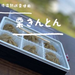 (期間限定)低温熟成栗 栗  栗きんとん 1パック(6個入り)×2
