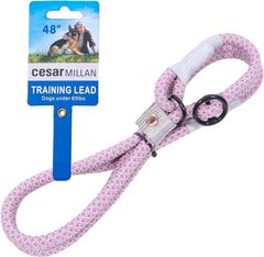 Item thumbnail for item c6c98c7a-5466-46a5-9646-f695d9dbdd81