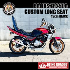 カワサキ バリオスⅠ型 ZR250A アルミ ブラック アルフィン