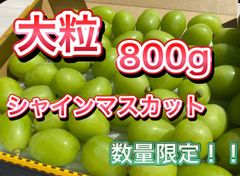 大粒 シャインマスカット 800g 産地直送 数量限定 - 忠実園 - メルカリ