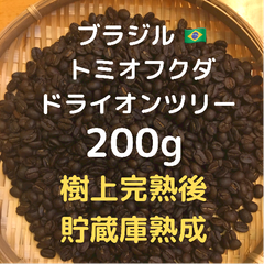 自家焙煎 ブラジル トミオフクダ ドライオンツリー200g 豆又は粉