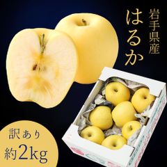 10点限定 岩手県産 りんご 訳あり 自宅用 はるか 2kg 送料無料