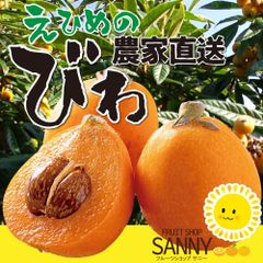 びわ ビワ 愛媛産 農家さんもぐもぐびわ 訳あり 約1.0kg 【沖縄・北海道・離島 発送不可】