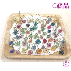 2025年最新】#極小薔薇の人気アイテム - メルカリ