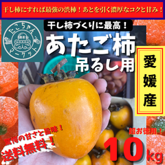 【12月中旬まで】愛媛県産　高級干柿にも使われる　渋柿　愛宕柿　10キロ