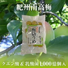 紀州南高梅 梅酒うめ 750g 250ｘ3袋 訳あり 無選別 保存料 着色料 無添加 数量限定 ポスト投函便 1000円ポッキリ 国産