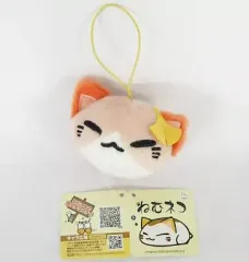 2025年最新】ねむネコぬいぐるみの人気アイテム - メルカリ
